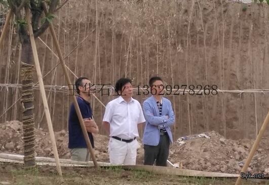 玉华石业苏东坡雕像设计新颖,服务周到！